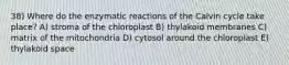 38) Where do the enzymatic reactions of the Calvin cycle take place? A) stroma of the chloroplast B) thylakoid membranes C) matrix of the mitochondria D) cytosol around the chloroplast E) thylakoid space