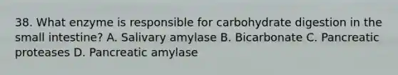 38. What enzyme is responsible for carbohydrate digestion in the small intestine? A. Salivary amylase B. Bicarbonate C. Pancreatic proteases D. Pancreatic amylase