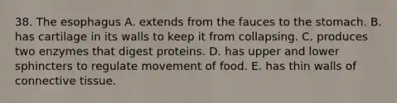 38. <a href='https://www.questionai.com/knowledge/kSjVhaa9qF-the-esophagus' class='anchor-knowledge'>the esophagus</a> A. extends from the fauces to the stomach. B. has cartilage in its walls to keep it from collapsing. C. produces two enzymes that digest proteins. D. has upper and lower sphincters to regulate movement of food. E. has thin walls of <a href='https://www.questionai.com/knowledge/kYDr0DHyc8-connective-tissue' class='anchor-knowledge'>connective tissue</a>.