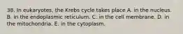 38. In eukaryotes, the Krebs cycle takes place A. in the nucleus. B. in the endoplasmic reticulum. C. in the cell membrane. D. in the mitochondria. E. in the cytoplasm.