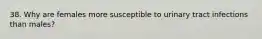 38. Why are females more susceptible to urinary tract infections than males?