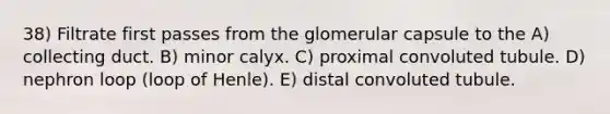 38) Filtrate first passes from the glomerular capsule to the A) collecting duct. B) minor calyx. C) proximal convoluted tubule. D) nephron loop (loop of Henle). E) distal convoluted tubule.