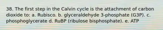 38. The first step in the Calvin cycle is the attachment of carbon dioxide to: a. Rubisco. b. glyceraldehyde 3-phosphate (G3P). c. phosphoglycerate d. RuBP (ribulose bisphosphate). e. ATP