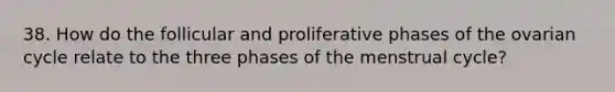 38. How do the follicular and proliferative phases of the ovarian cycle relate to the three phases of the menstrual cycle?