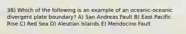 38) Which of the following is an example of an oceanic-oceanic divergent plate boundary? A) San Andreas Fault B) East Pacific Rise C) Red Sea D) Aleutian Islands E) Mendocino Fault