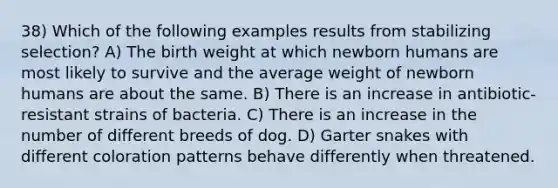 38) Which of the following examples results from stabilizing selection? A) The birth weight at which newborn humans are most likely to survive and the average weight of newborn humans are about the same. B) There is an increase in antibiotic-resistant strains of bacteria. C) There is an increase in the number of different breeds of dog. D) Garter snakes with different coloration patterns behave differently when threatened.