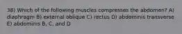 38) Which of the following muscles compresses the abdomen? A) diaphragm B) external oblique C) rectus D) abdominis transverse E) abdominis B, C, and D