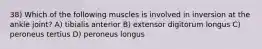 38) Which of the following muscles is involved in inversion at the ankle joint? A) tibialis anterior B) extensor digitorum longus C) peroneus tertius D) peroneus longus