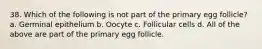 38. Which of the following is not part of the primary egg follicle? a. Germinal epithelium b. Oocyte c. Follicular cells d. All of the above are part of the primary egg follicle.