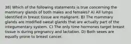 38) Which of the following statements is true concerning the mammary glands of both males and females? A) All lumps identified in breast tissue are malignant. B) The mammary glands are modified sweat glands that are actually part of the integumentary system. C) The only time hormones target breast tissue is during pregnancy and lactation. D) Both sexes are equally prone to breast cancer.