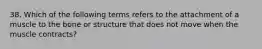 38. Which of the following terms refers to the attachment of a muscle to the bone or structure that does not move when the muscle contracts?