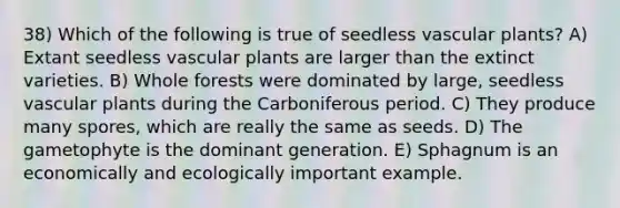 38) Which of the following is true of seedless vascular plants? A) Extant seedless vascular plants are larger than the extinct varieties. B) Whole forests were dominated by large, seedless vascular plants during the Carboniferous period. C) They produce many spores, which are really the same as seeds. D) The gametophyte is the dominant generation. E) Sphagnum is an economically and ecologically important example.