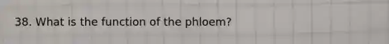 38. What is the function of the phloem?