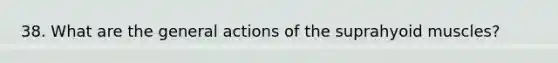 38. What are the general actions of the suprahyoid muscles?