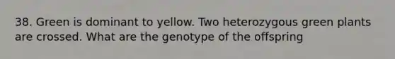 38. Green is dominant to yellow. Two heterozygous green plants are crossed. What are the genotype of the offspring