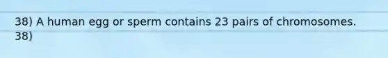 38) A human egg or sperm contains 23 pairs of chromosomes. 38)