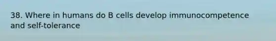 38. Where in humans do B cells develop immunocompetence and self-tolerance