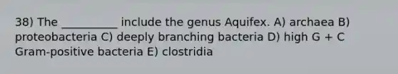 38) The __________ include the genus Aquifex. A) archaea B) proteobacteria C) deeply branching bacteria D) high G + C Gram-positive bacteria E) clostridia