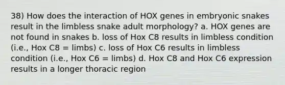 38) How does the interaction of HOX genes in embryonic snakes result in the limbless snake adult morphology? a. HOX genes are not found in snakes b. loss of Hox C8 results in limbless condition (i.e., Hox C8 = limbs) c. loss of Hox C6 results in limbless condition (i.e., Hox C6 = limbs) d. Hox C8 and Hox C6 expression results in a longer thoracic region