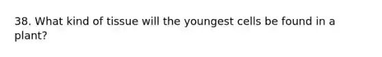 38. What kind of tissue will the youngest cells be found in a plant?