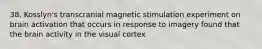 38. Kosslyn's transcranial magnetic stimulation experiment on brain activation that occurs in response to imagery found that the brain activity in the visual cortex