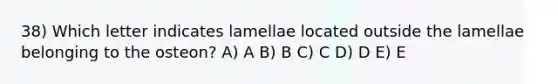 38) Which letter indicates lamellae located outside the lamellae belonging to the osteon? A) A B) B C) C D) D E) E