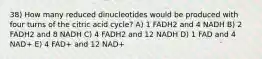 38) How many reduced dinucleotides would be produced with four turns of the citric acid cycle? A) 1 FADH2 and 4 NADH B) 2 FADH2 and 8 NADH C) 4 FADH2 and 12 NADH D) 1 FAD and 4 NAD+ E) 4 FAD+ and 12 NAD+