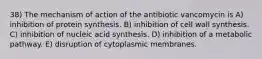 38) The mechanism of action of the antibiotic vancomycin is A) inhibition of protein synthesis. B) inhibition of cell wall synthesis. C) inhibition of nucleic acid synthesis. D) inhibition of a metabolic pathway. E) disruption of cytoplasmic membranes.