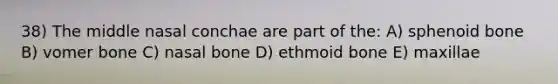 38) The middle nasal conchae are part of the: A) sphenoid bone B) vomer bone C) nasal bone D) ethmoid bone E) maxillae