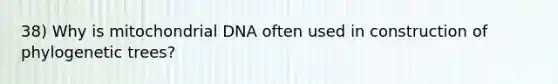 38) Why is mitochondrial DNA often used in construction of phylogenetic trees?