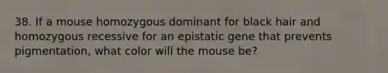 38. If a mouse homozygous dominant for black hair and homozygous recessive for an epistatic gene that prevents pigmentation, what color will the mouse be?