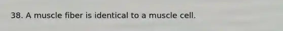 38. A muscle fiber is identical to a muscle cell.