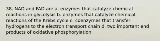 38. NAD and FAD are a. enzymes that catalyze <a href='https://www.questionai.com/knowledge/kc6NTom4Ep-chemical-reactions' class='anchor-knowledge'>chemical reactions</a> in glycolysis b. enzymes that catalyze chemical reactions of the Krebs cycle c. coenzymes that transfer hydrogens to <a href='https://www.questionai.com/knowledge/k57oGBr0HP-the-electron-transport-chain' class='anchor-knowledge'>the electron transport chain</a> d. two important end products of <a href='https://www.questionai.com/knowledge/kFazUb9IwO-oxidative-phosphorylation' class='anchor-knowledge'>oxidative phosphorylation</a>