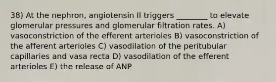 38) At the nephron, angiotensin II triggers ________ to elevate glomerular pressures and glomerular filtration rates. A) vasoconstriction of the efferent arterioles B) vasoconstriction of the afferent arterioles C) vasodilation of the peritubular capillaries and vasa recta D) vasodilation of the efferent arterioles E) the release of ANP