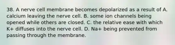 38. A nerve cell membrane becomes depolarized as a result of A. calcium leaving the nerve cell. B. some ion channels being opened while others are closed. C. the relative ease with which K+ diffuses into the nerve cell. D. Na+ being prevented from passing through the membrane.