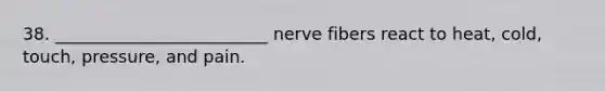 38. _________________________ nerve fibers react to heat, cold, touch, pressure, and pain.