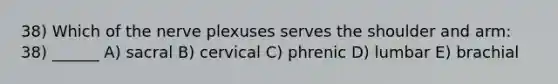 38) Which of the nerve plexuses serves the shoulder and arm: 38) ______ A) sacral B) cervical C) phrenic D) lumbar E) brachial