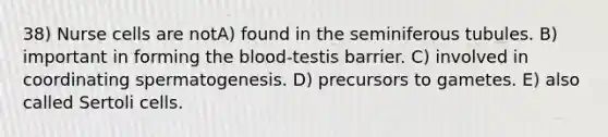 38) Nurse cells are notA) found in the seminiferous tubules. B) important in forming the blood-testis barrier. C) involved in coordinating spermatogenesis. D) precursors to gametes. E) also called Sertoli cells.