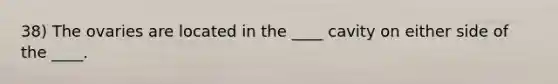 38) The ovaries are located in the ____ cavity on either side of the ____.