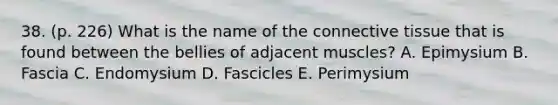 38. (p. 226) What is the name of the connective tissue that is found between the bellies of adjacent muscles? A. Epimysium B. Fascia C. Endomysium D. Fascicles E. Perimysium