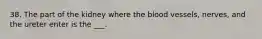 38. The part of the kidney where the blood vessels, nerves, and the ureter enter is the ___.