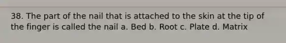 38. The part of the nail that is attached to the skin at the tip of the finger is called the nail a. Bed b. Root c. Plate d. Matrix