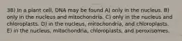 38) In a plant cell, DNA may be found A) only in the nucleus. B) only in the nucleus and mitochondria. C) only in the nucleus and chloroplasts. D) in the nucleus, mitochondria, and chloroplasts. E) in the nucleus, mitochondria, chloroplasts, and peroxisomes.