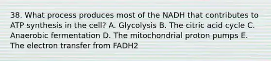 38. What process produces most of the NADH that contributes to ATP synthesis in the cell? A. Glycolysis B. The citric acid cycle C. Anaerobic fermentation D. The mitochondrial proton pumps E. The electron transfer from FADH2