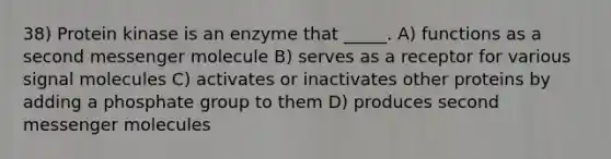 38) Protein kinase is an enzyme that _____. A) functions as a second messenger molecule B) serves as a receptor for various signal molecules C) activates or inactivates other proteins by adding a phosphate group to them D) produces second messenger molecules