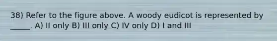 38) Refer to the figure above. A woody eudicot is represented by _____. A) II only B) III only C) IV only D) I and III