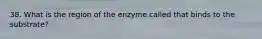 38. What is the region of the enzyme called that binds to the substrate?