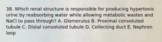 38. Which renal structure is responsible for producing hypertonic urine by reabsorbing water while allowing metabolic wastes and NaCl to pass through? A. Glomerulus B. Proximal convoluted tubule C. Distal convoluted tubule D. Collecting duct E. Nephron loop