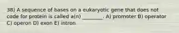 38) A sequence of bases on a eukaryotic gene that does not code for protein is called a(n) ________. A) promoter B) operator C) operon D) exon E) intron