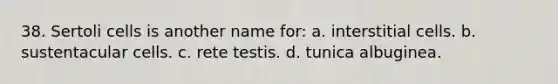 38. Sertoli cells is another name for: a. interstitial cells. b. sustentacular cells. c. rete testis. d. tunica albuginea.